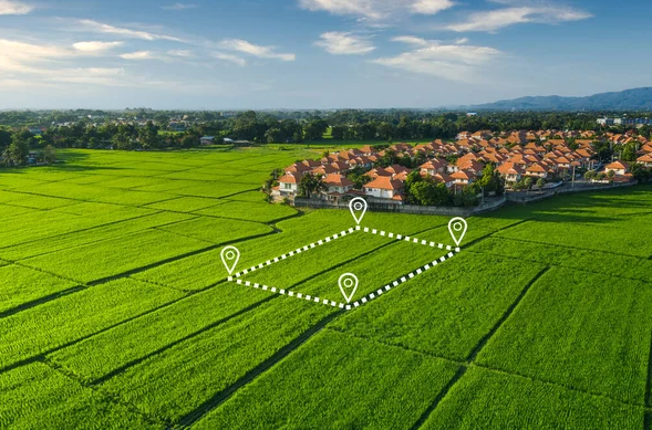 Todha Agriculture Land